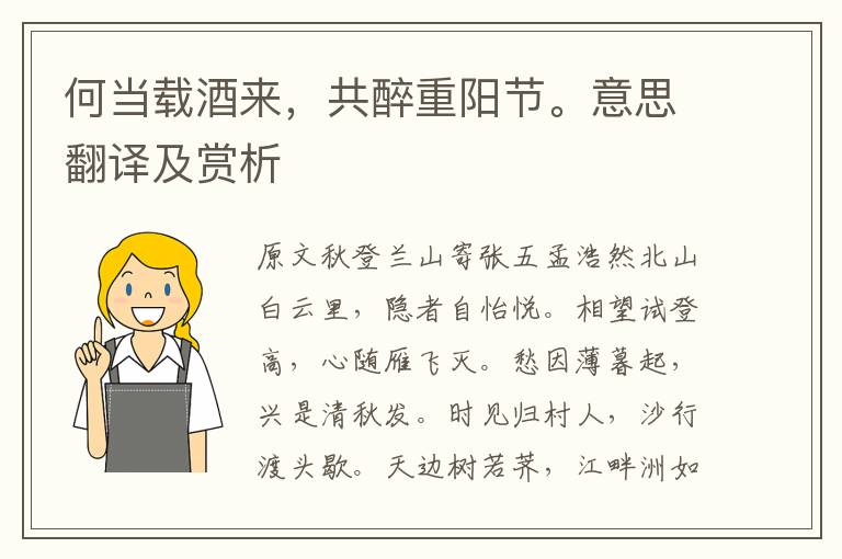 何當載酒來，共醉重陽節。意思翻譯及賞析