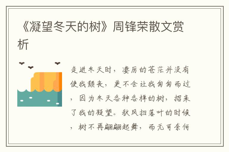 《凝望冬天的樹》周鋒榮散文賞析