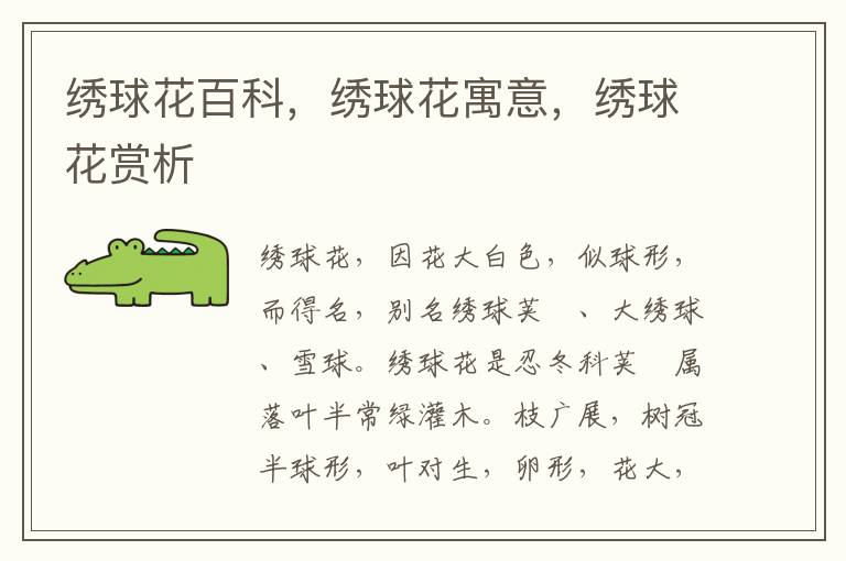 繡球花百科，繡球花寓意，繡球花賞析