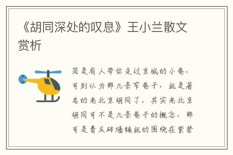 《胡同深處的嘆息》王小蘭散文賞析