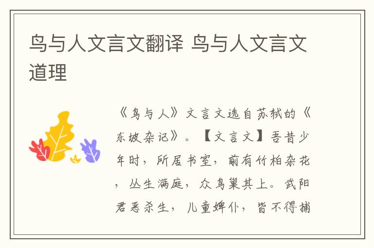 鳥與人文言文翻譯 鳥與人文言文道理