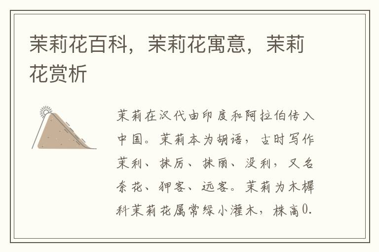 茉莉花百科，茉莉花寓意，茉莉花賞析
