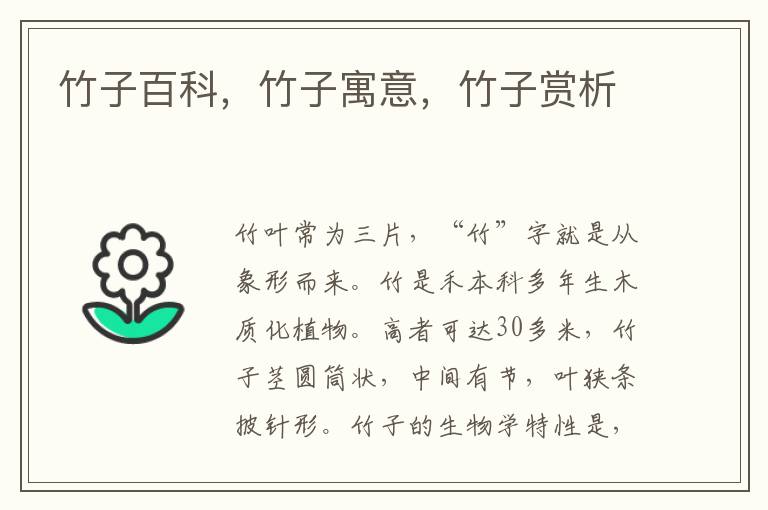竹子百科，竹子寓意，竹子賞析