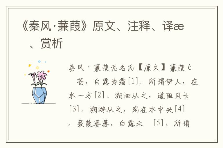 《秦風·蒹葭》原文、注釋、譯文、賞析